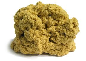 artemisia