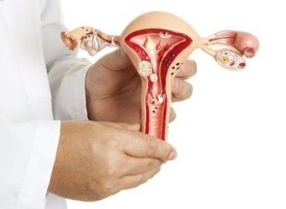 Amenorreia (Ausência de Período Menstrual)