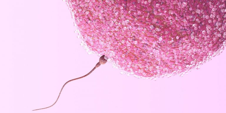 tratamento de fertilidade feminina