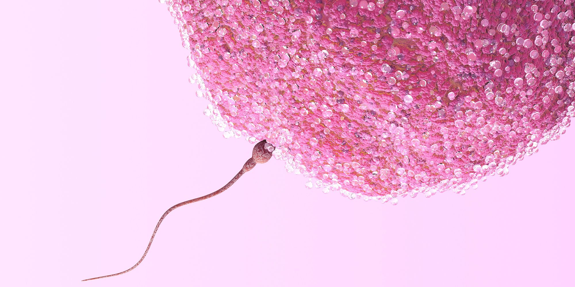Tratamento para Infertilidade Feminina